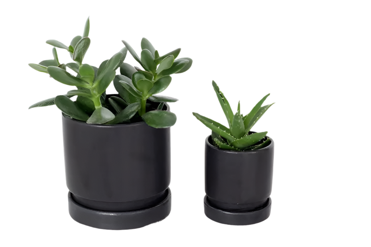 Ceramic planter pots