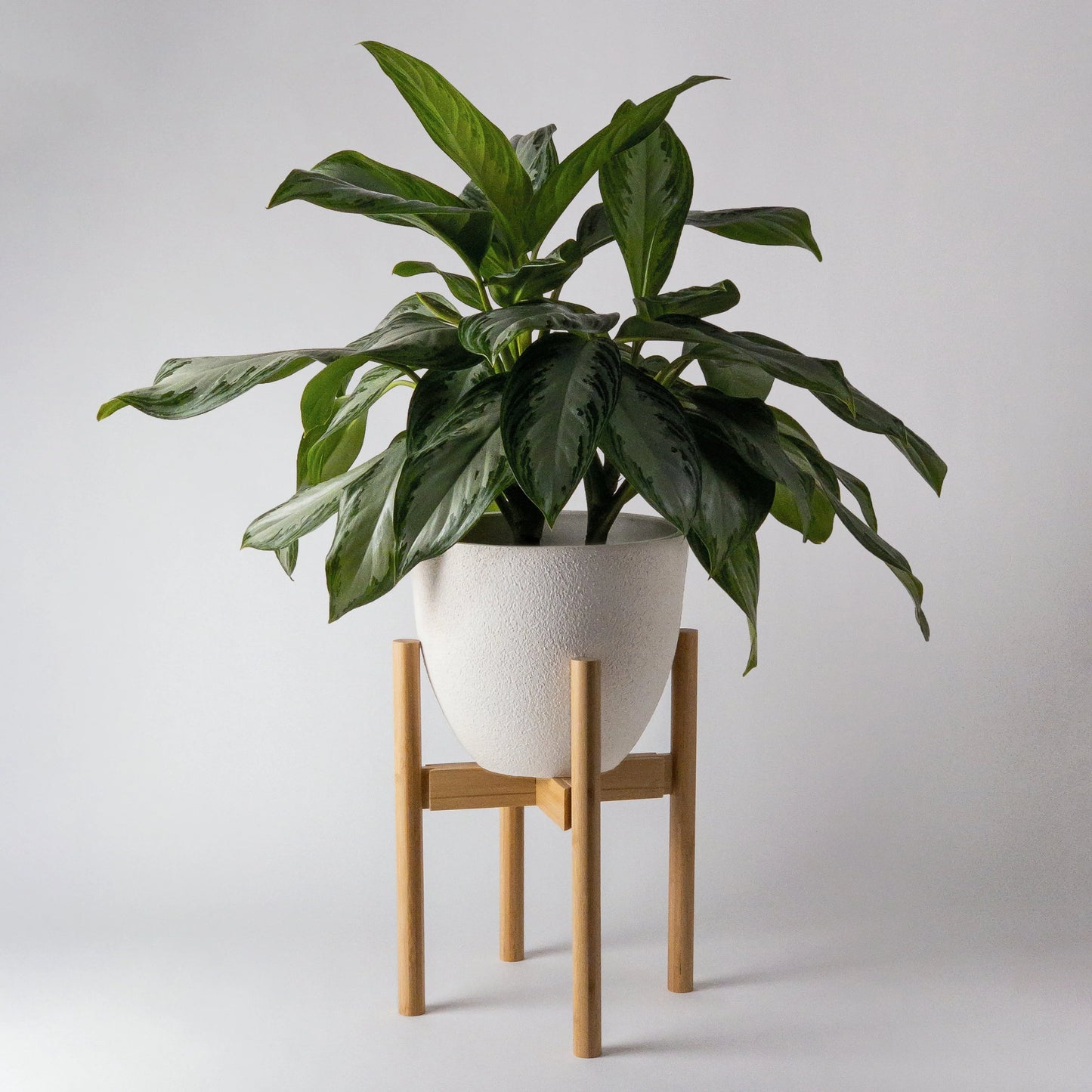 Bamboo Plant Stand