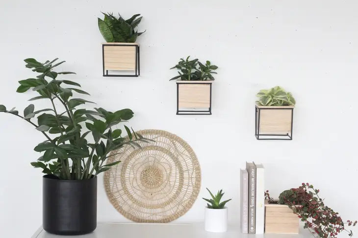 Wall Planter Pots