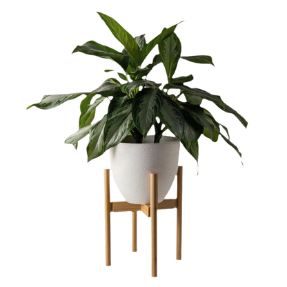 Bamboo Plant Stand