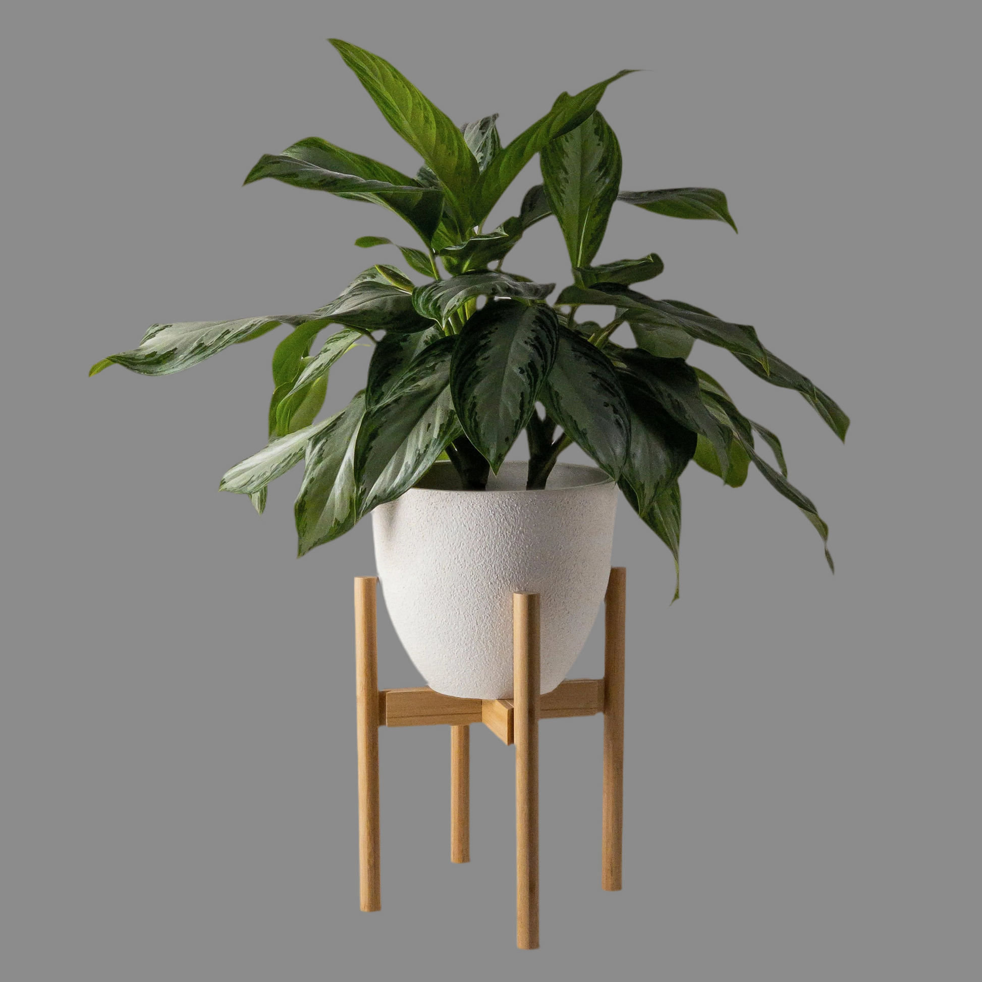 Plant Stand