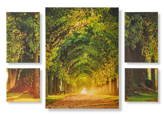 Maison Forest Sunrise Wall Prints | Set of 5