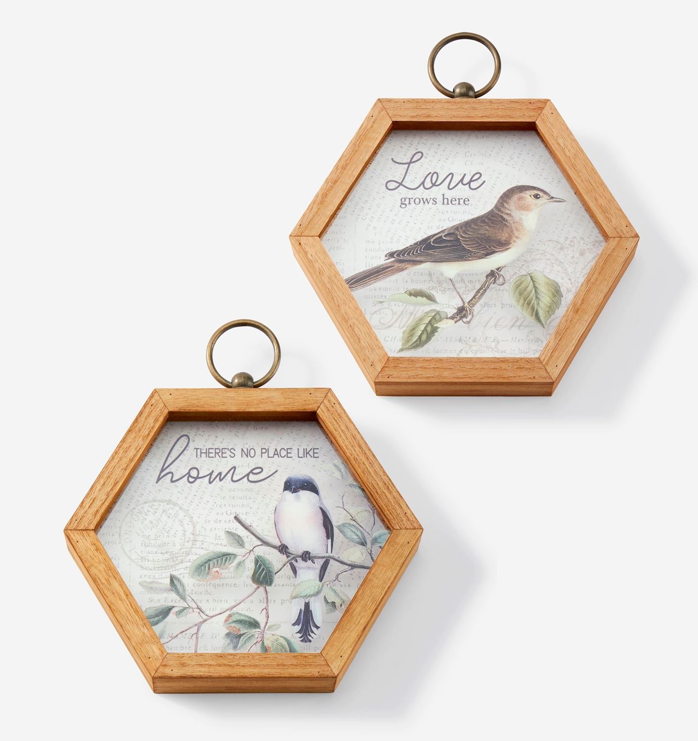 Two hexagonal wooden frames with bird illustrations and text on a white background