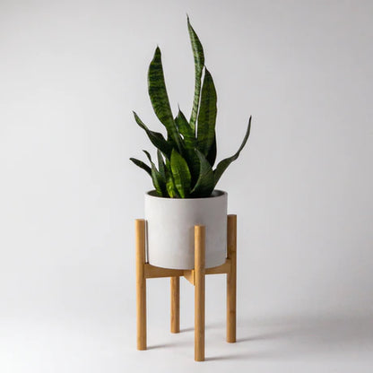 Adjustable Plant Stand that adjusts from 8 to 12 inches in width