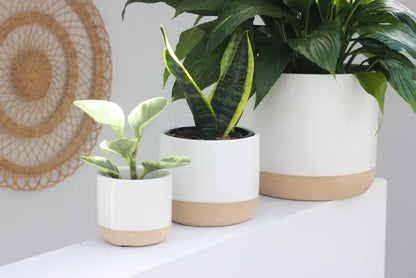 Ceramic Planter Pots (Set of 3)