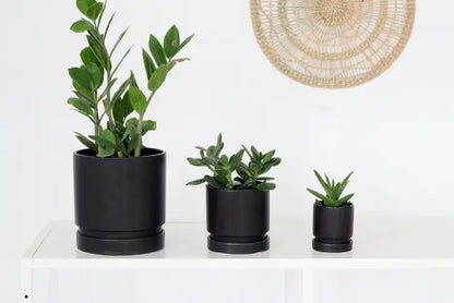 Round Planter Matte Black  3, 4.5 and 6.5 inch pots