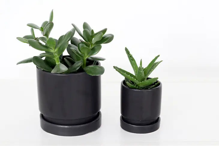 Matte Black Ceramic Planter Pots with saucer