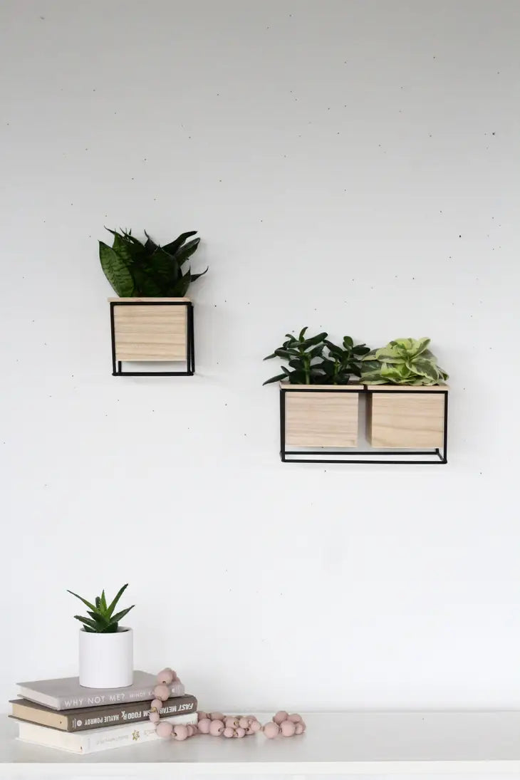 Single and Double size Planter Pots Minimalist Design